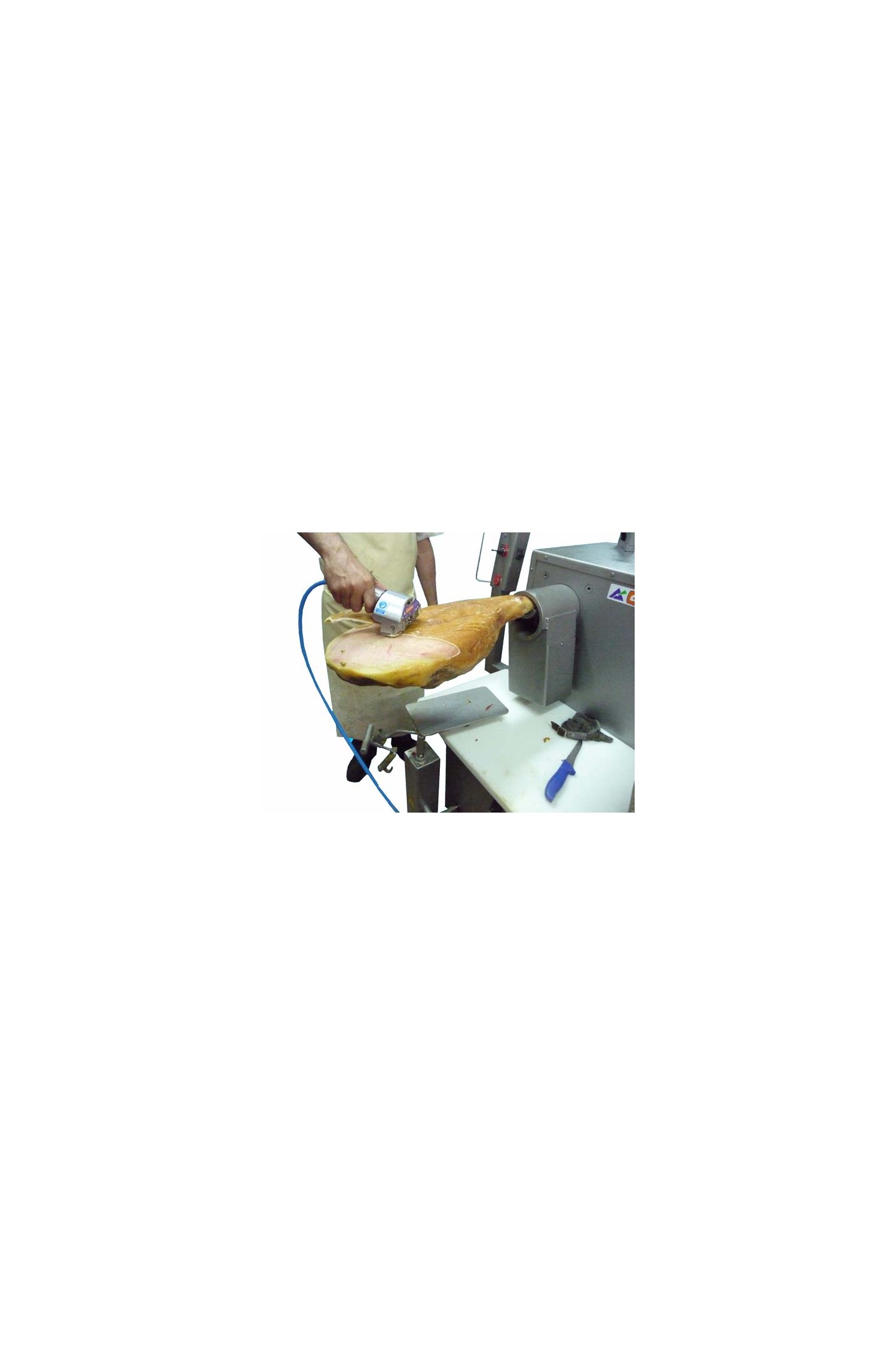Ham Deboning machine F-1
