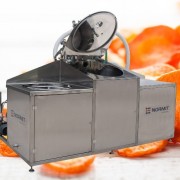 Vacuum fryer with blancher