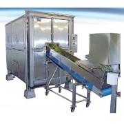 Automatic vegetable centrifuge