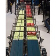 Packs conveyor