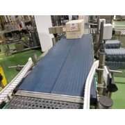 Packs conveyor