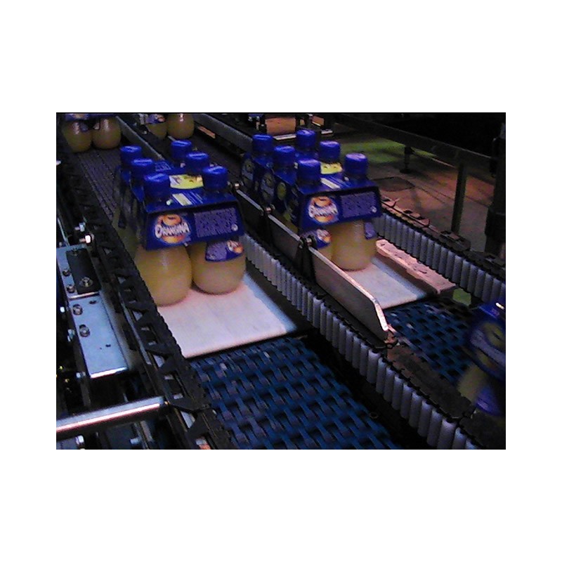 Packs conveyor