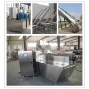 Artificial Rice Extruding Line / Instant Rice Making Machine