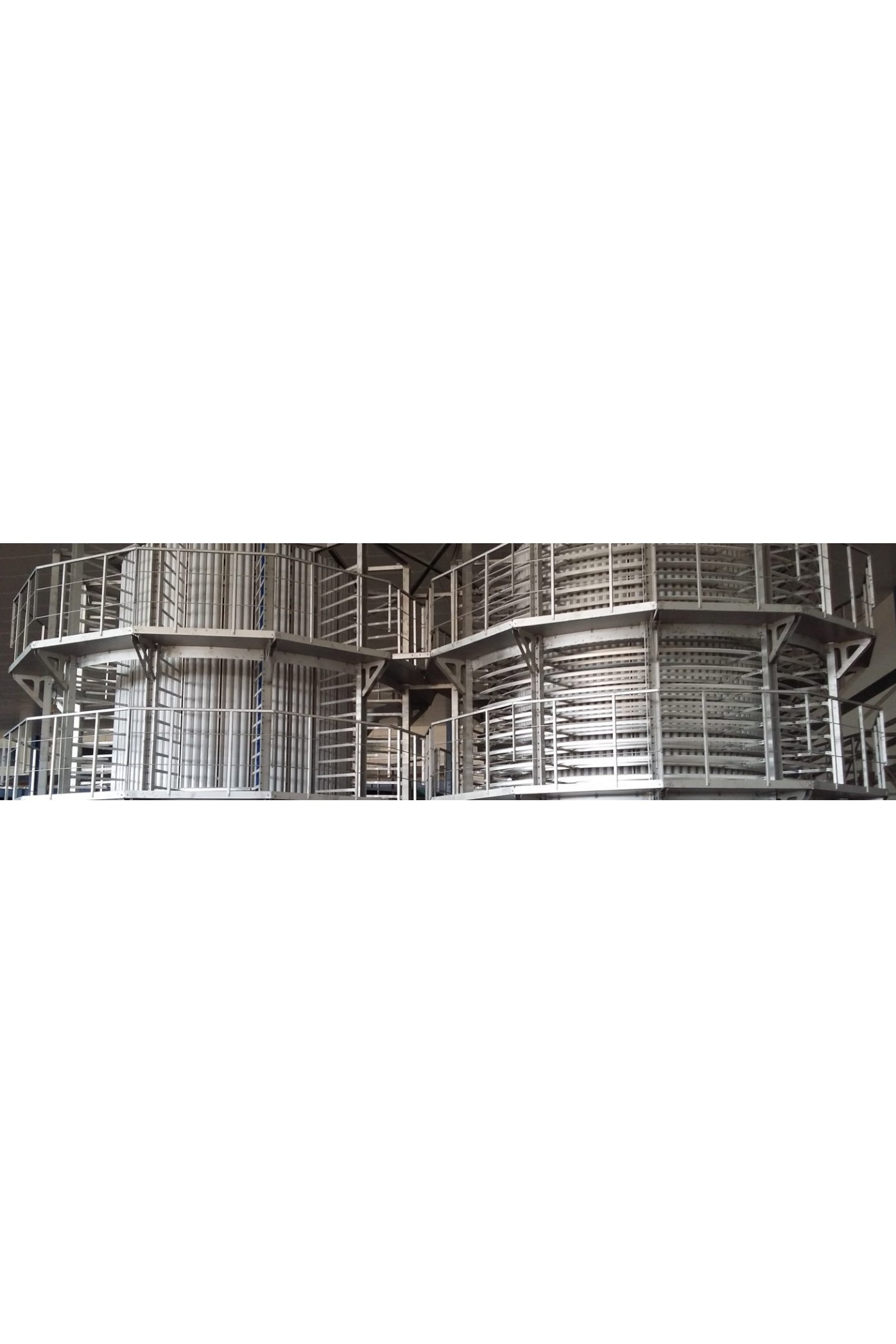 Ring Freezer Twin Drum Spiral Freezer