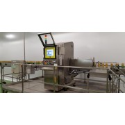 X-ray Inspection machine Raybox