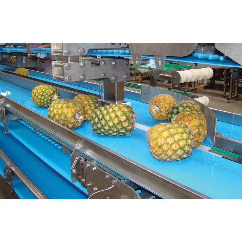 Horizontal Conveyor